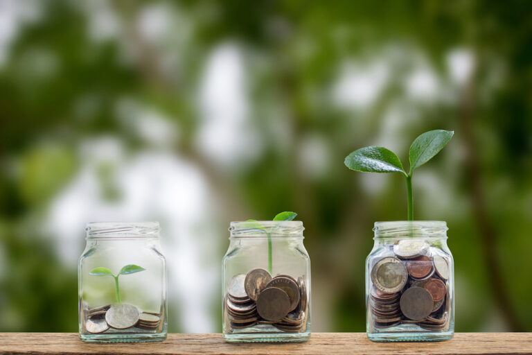Money savings, investment, making money for future, financial wealth management concept. A coins in glass jar and step of growing tree plant on pile coins. Depicts a fund growth and wealth.